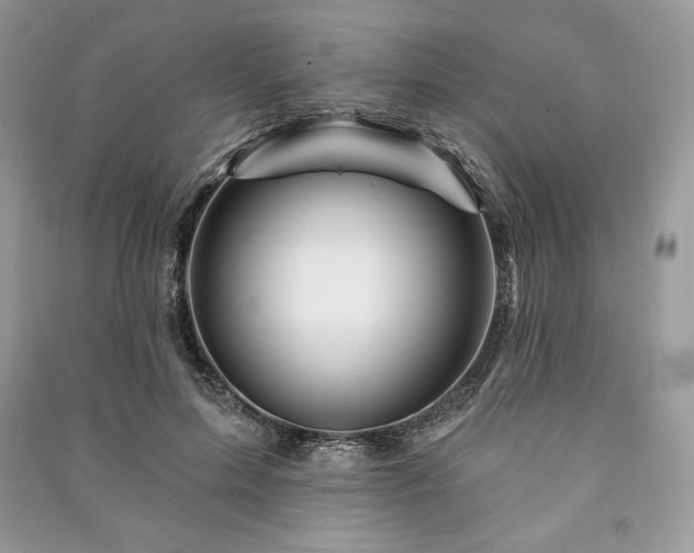 X0000090970599200708091438