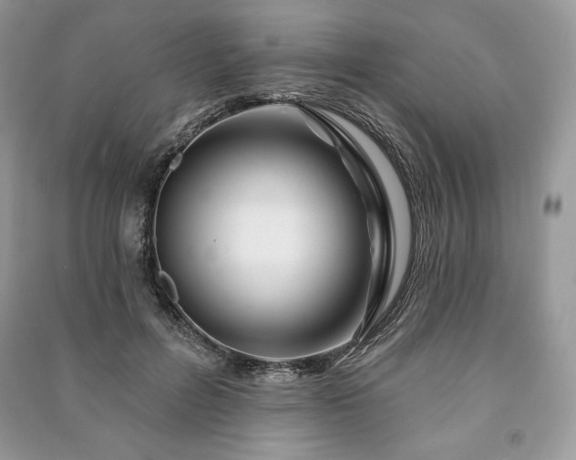 X0000090970600200708091438