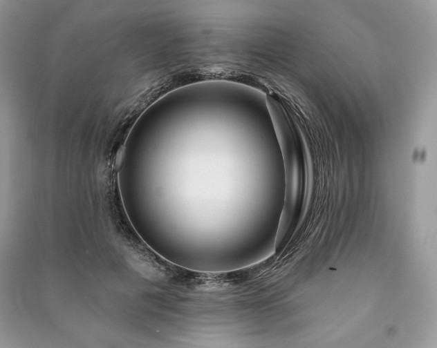 X0000090970601200708091438