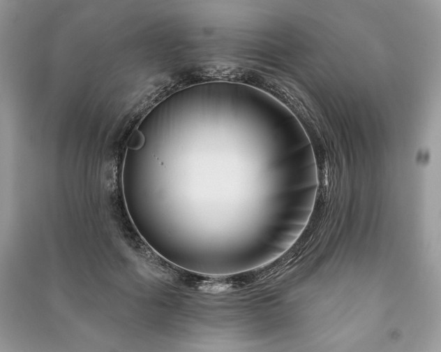 X0000090970602200708091438