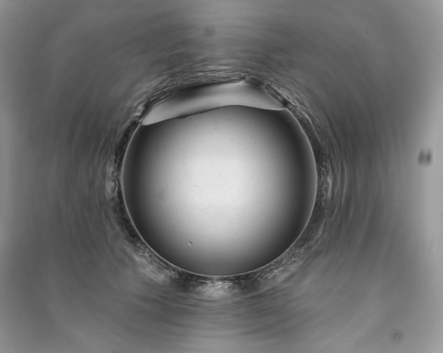 X0000090970609200708091438