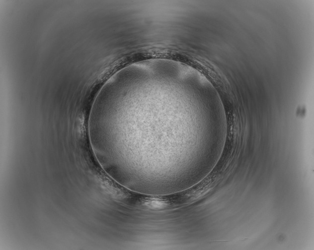 X0000090970610200708091438