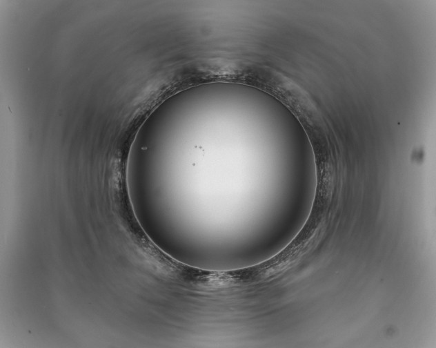 X0000090970612200708091438