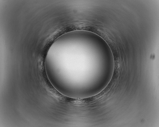 X0000090970615200708091438