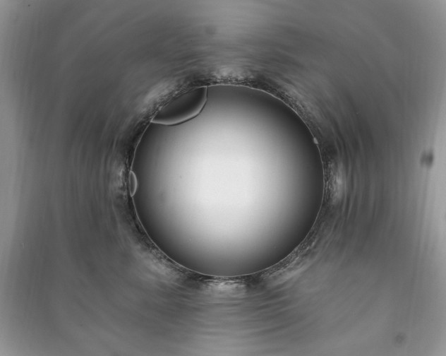 X0000090970619200708091438