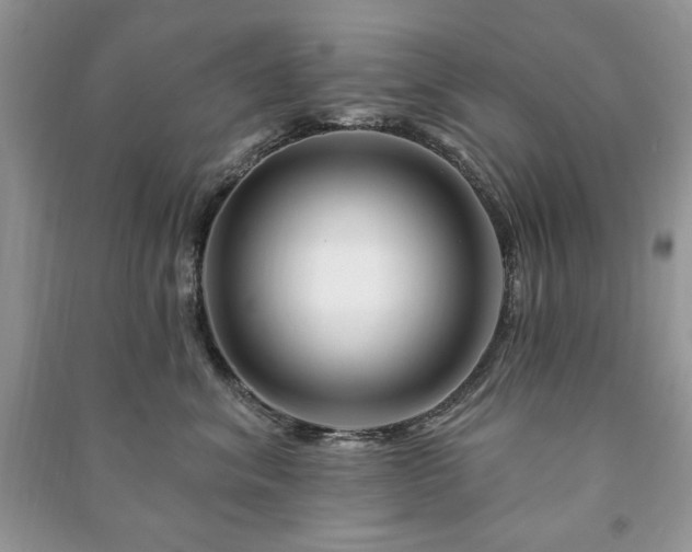 X0000090970620200708091438