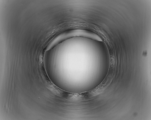 X0000090970621200708091438