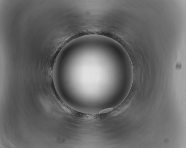 X0000090970624200708091437