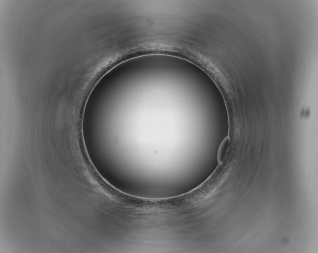 X0000090970625200708091437