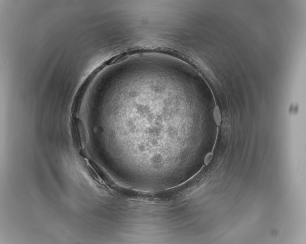 X0000090970626200708091437