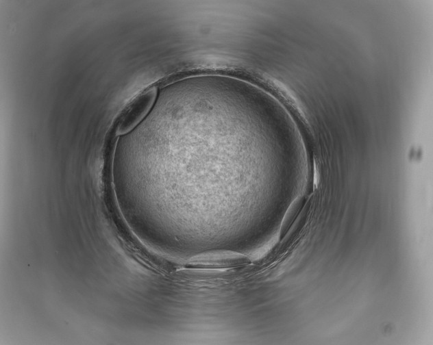 X0000090970627200708091437