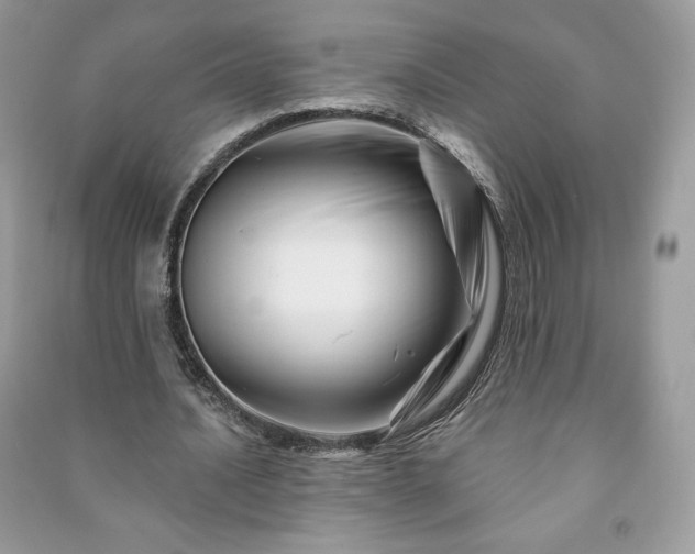 X0000090970628200708091437