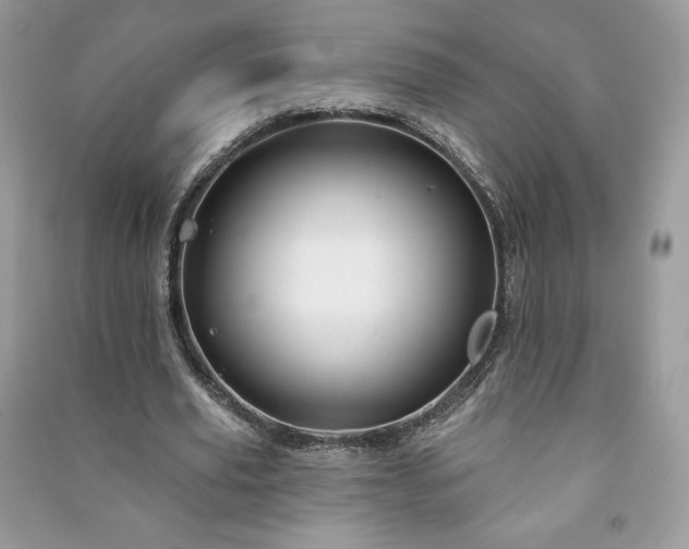 X0000090970629200708091437