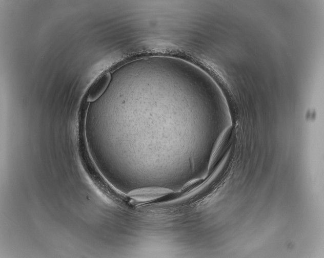 X0000090970630200708091437