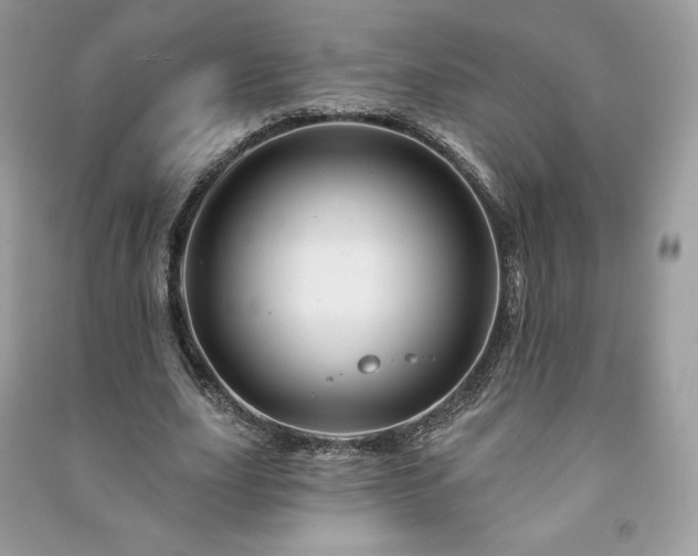 X0000090970631200708091437