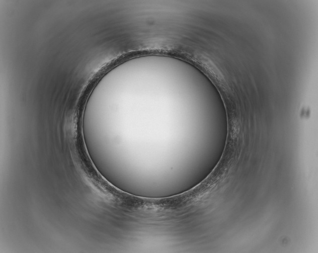 X0000090970632200708091437