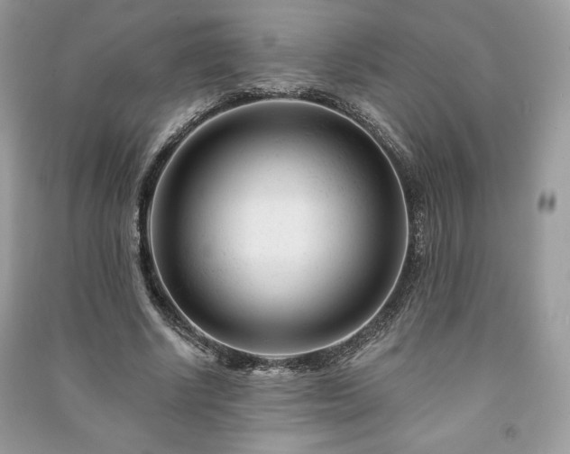 X0000090970634200708091437