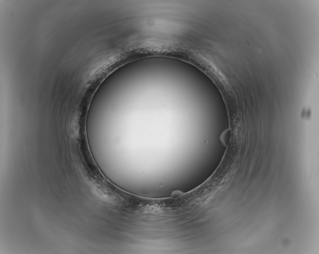 X0000090970635200708091437