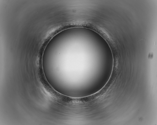 X0000090970636200708091437