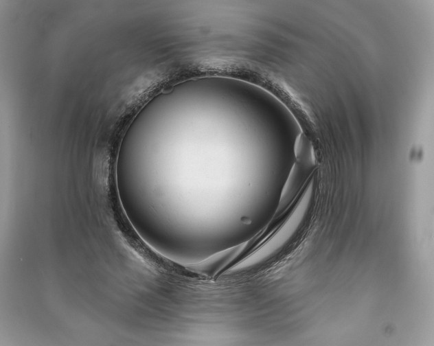 X0000090970637200708091437