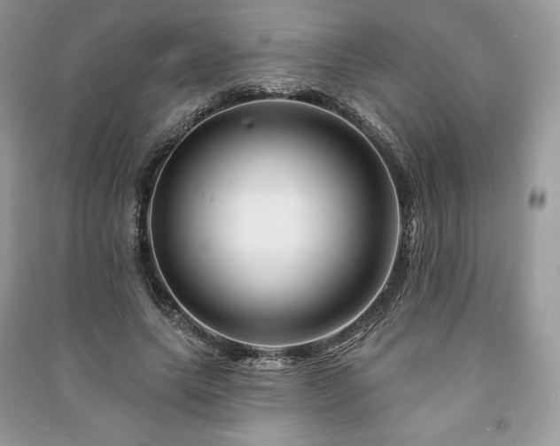 X0000090970639200708091437