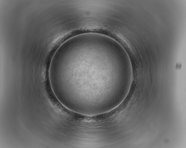 X0000090970640200708091437