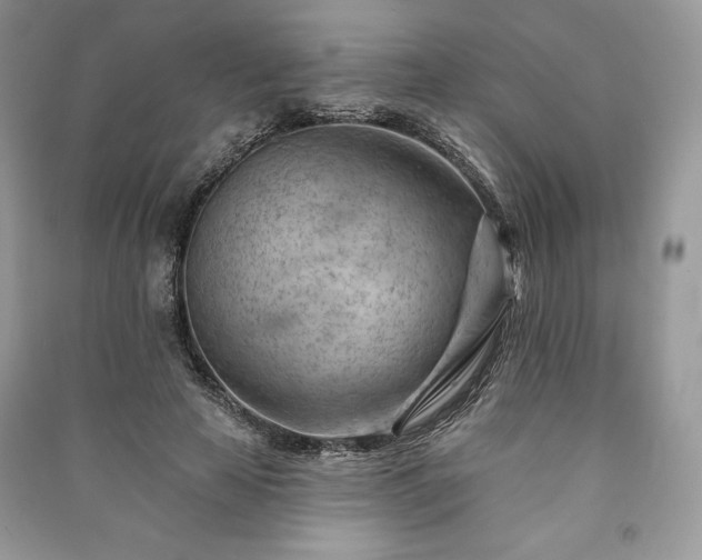 X0000090970641200708091437