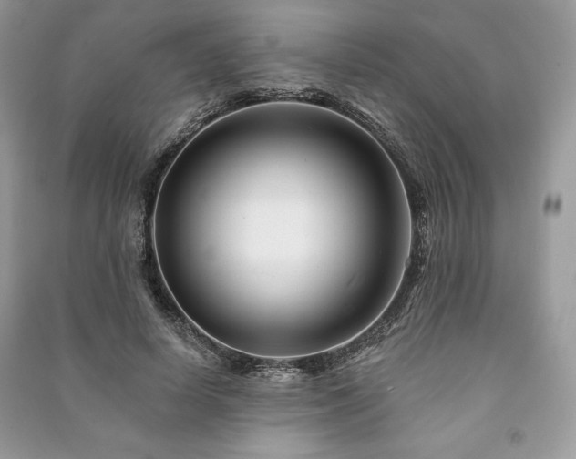 X0000090970642200708091437