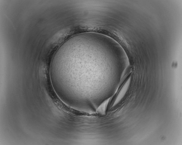 X0000090970643200708091437