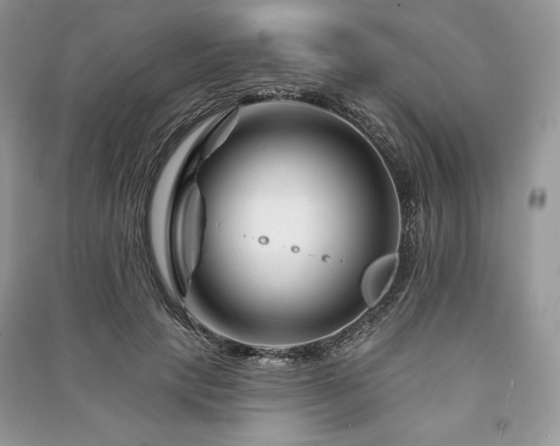 X0000090970649200708091437