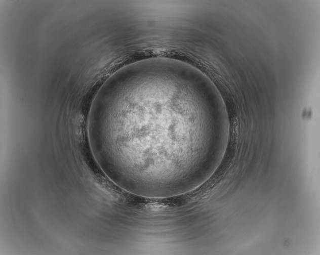 X0000090970650200708091437