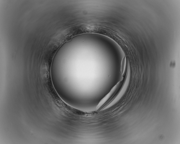 X0000090970651200708091437