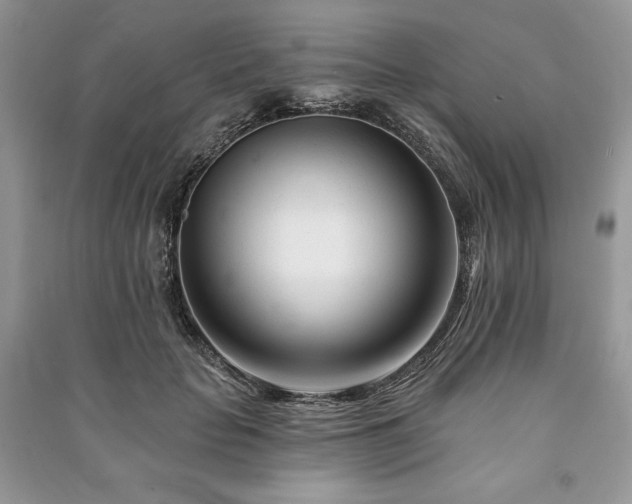 X0000090970653200708091437