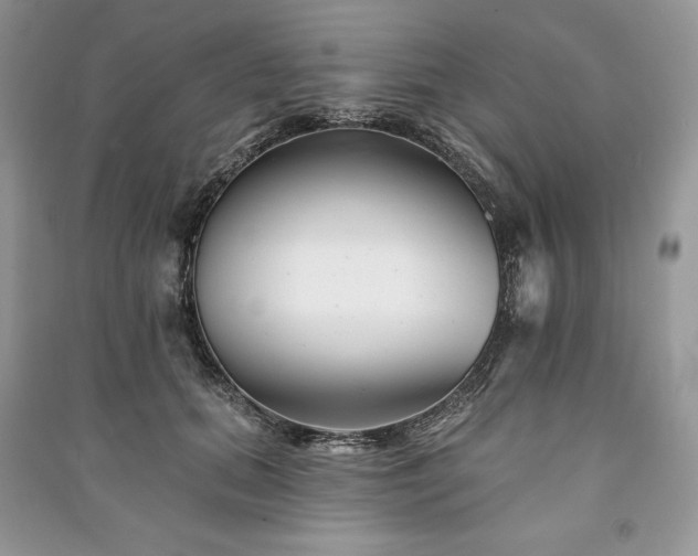 X0000090970655200708091437