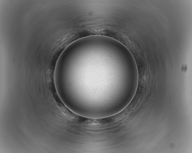 X0000090970658200708091437