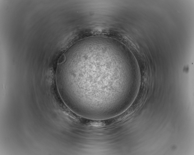 X0000090970659200708091437