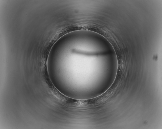 X0000090970660200708091437