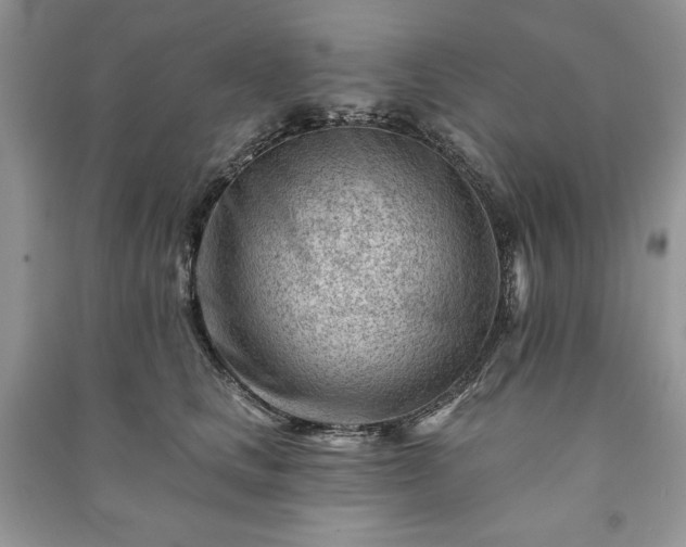 X0000090970661200708091437