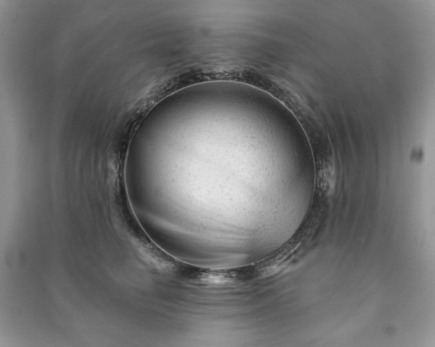 X0000090970662200708091437