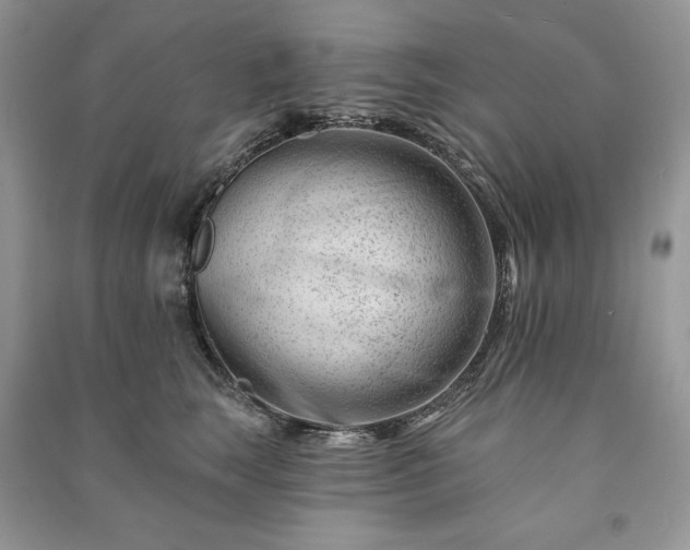 X0000090970663200708091437