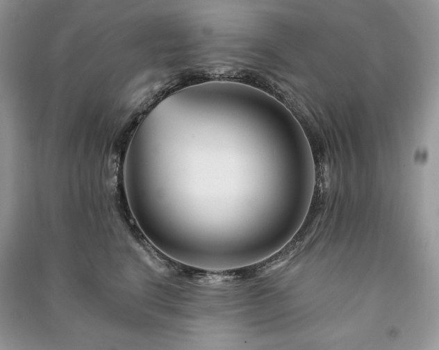 X0000090970664200708091437