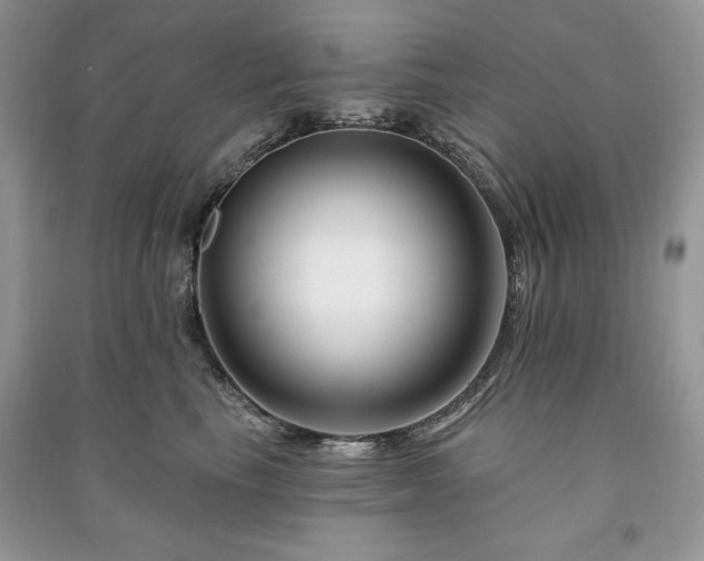 X0000090970665200708091437