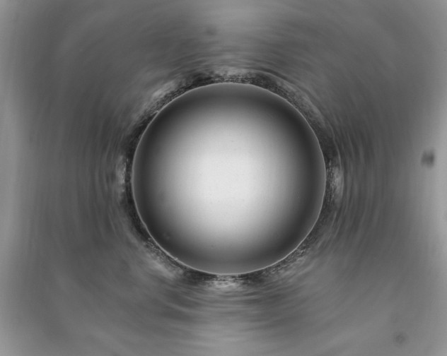 X0000090970668200708091437