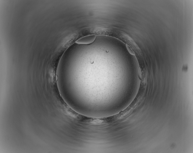 X0000090970669200708091437