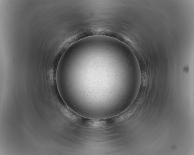 X0000090970670200708091437