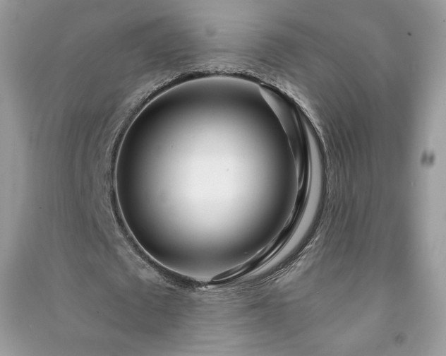 X0000090970673200708091437