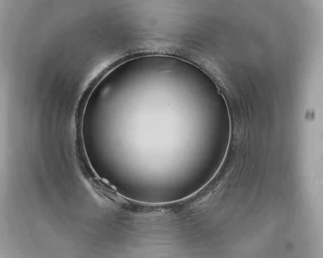 X0000090970674200708091437