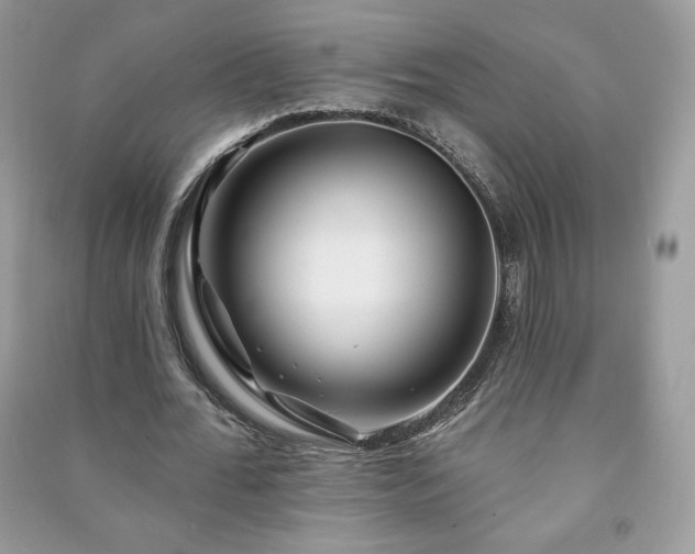 X0000090970676200708091437