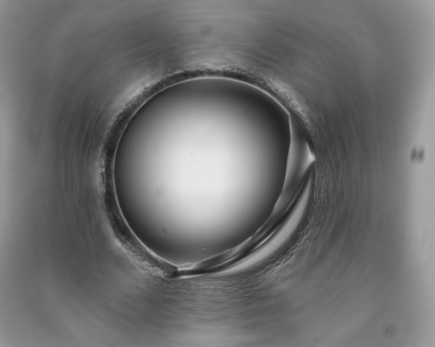 X0000090970680200708091437