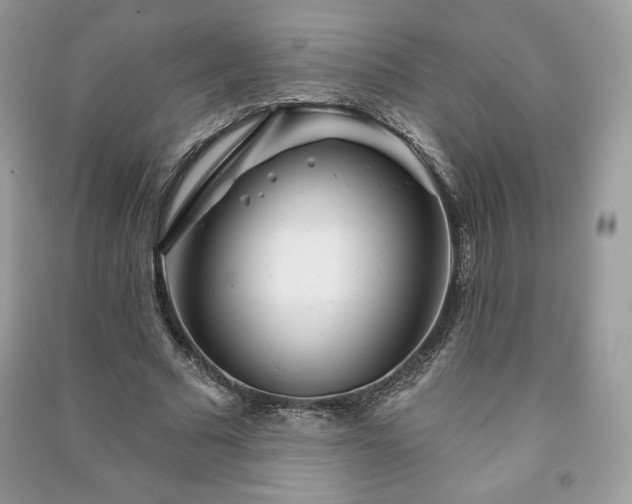 X0000090970681200708091437